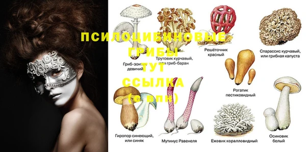 а пвп мука Абинск