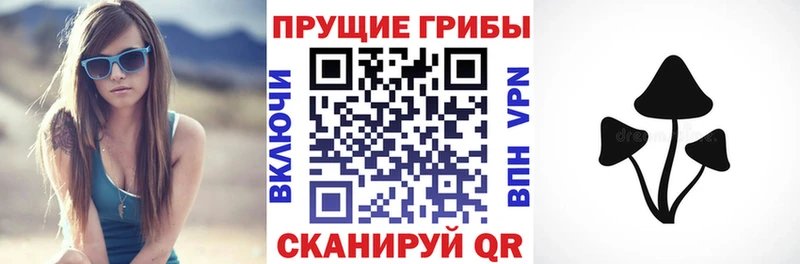 Псилоцибиновые грибы Magic Shrooms Петров Вал